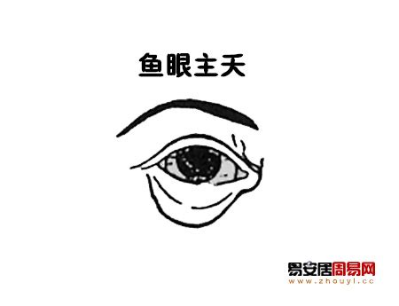 魚眼面相